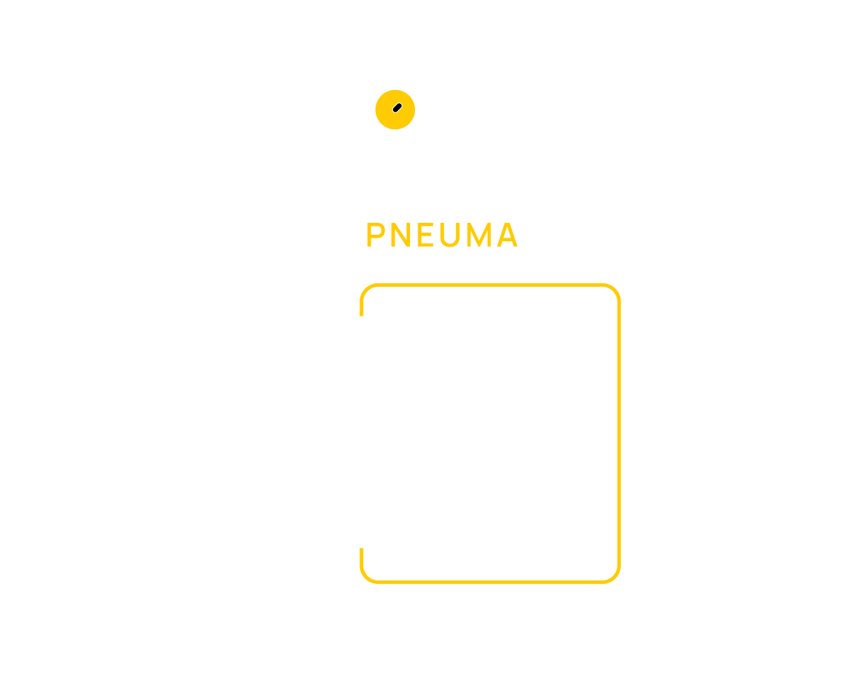 Pneumatique